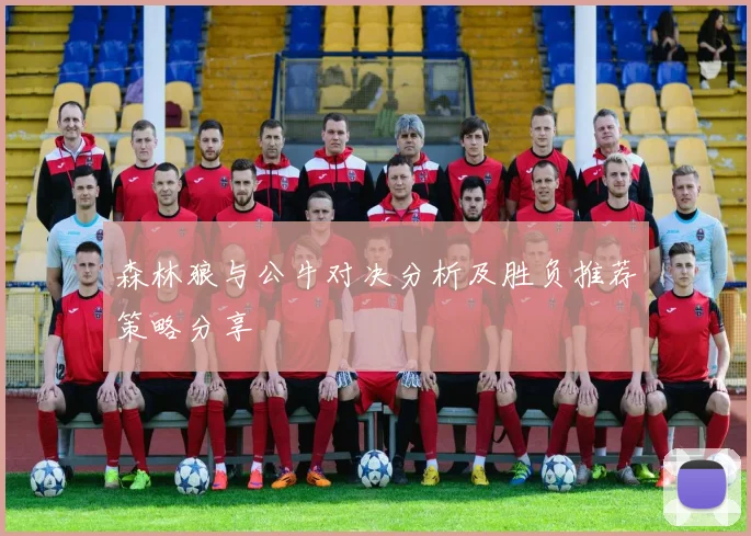 森林狼与公牛对决分析及胜负推荐策略分享